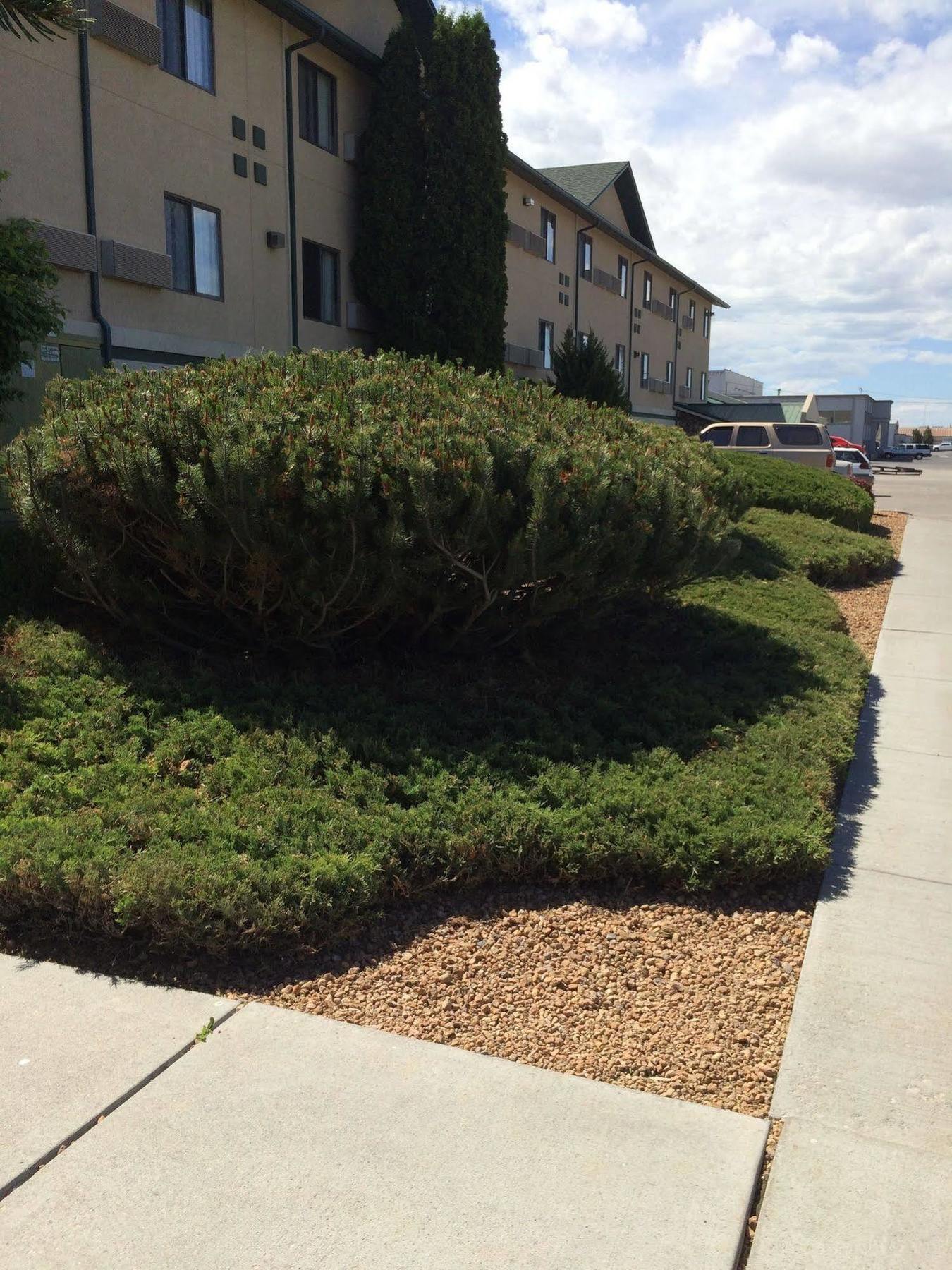 Super 8 By Wyndham Idaho Falls Exterior foto