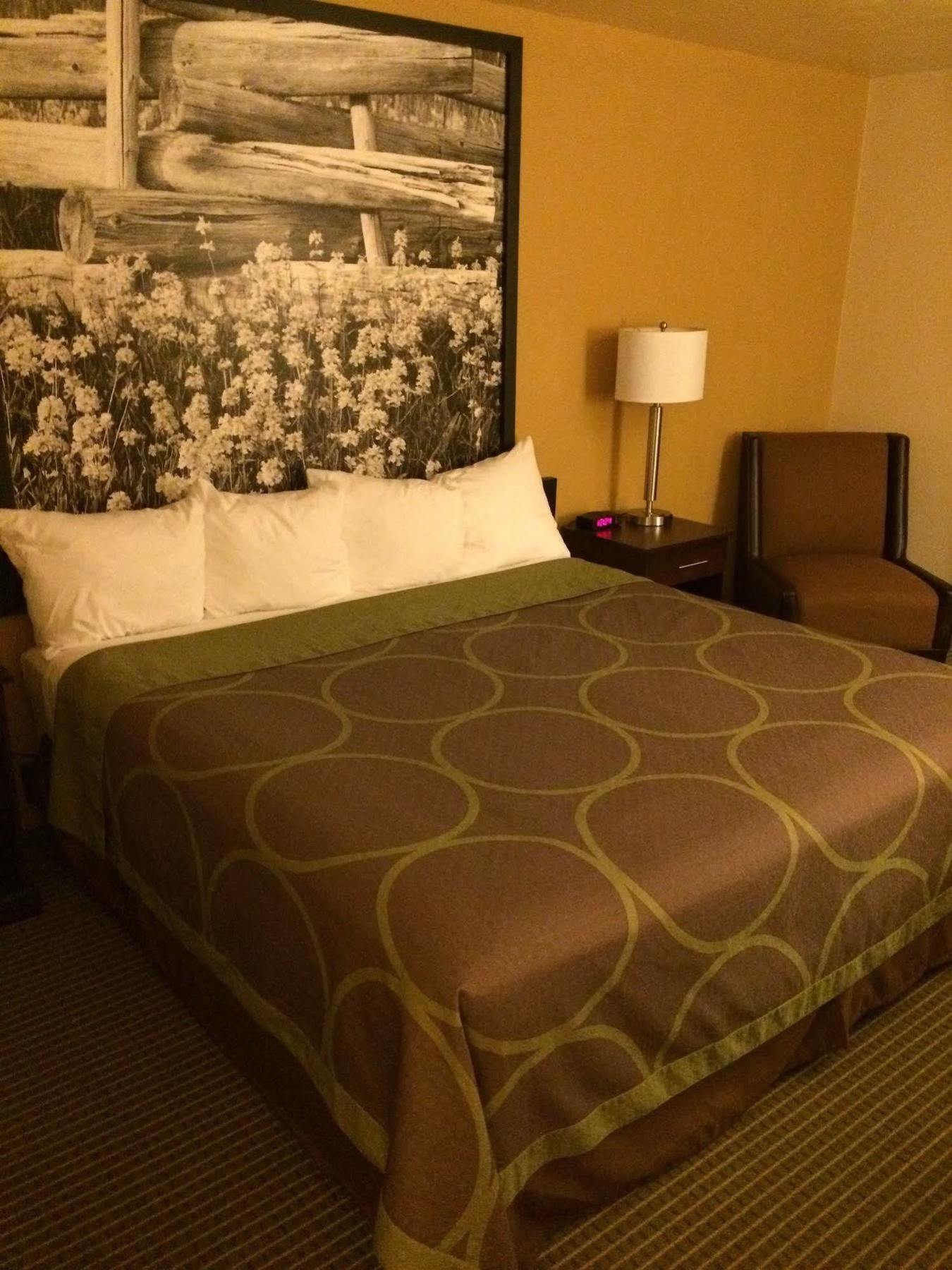 Super 8 By Wyndham Idaho Falls Exterior foto